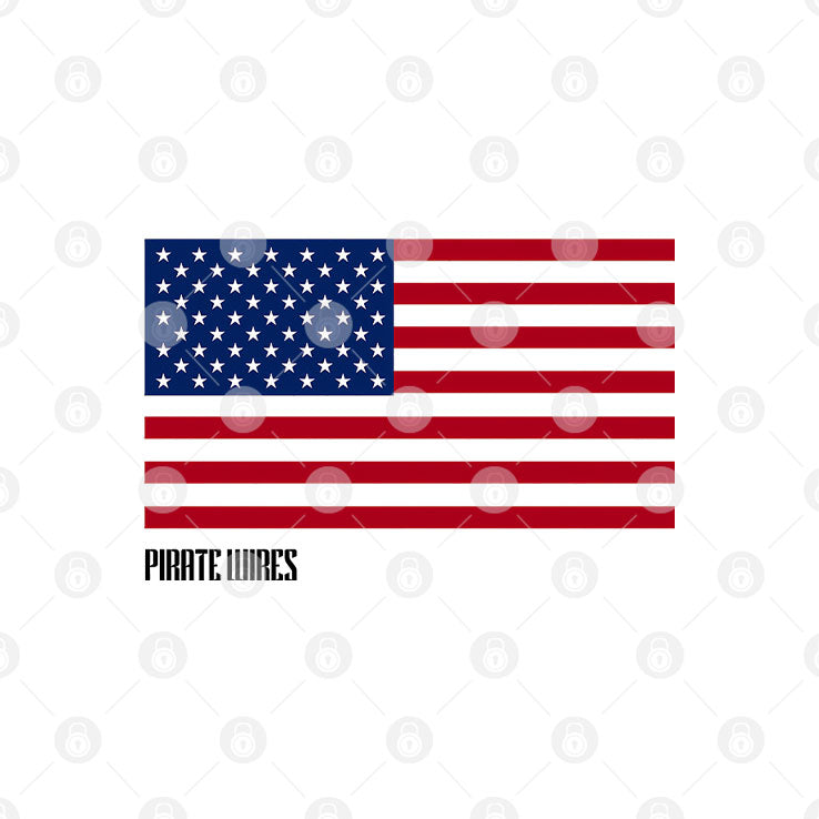 51 The Moon Should Be A State American Flag T Shirt