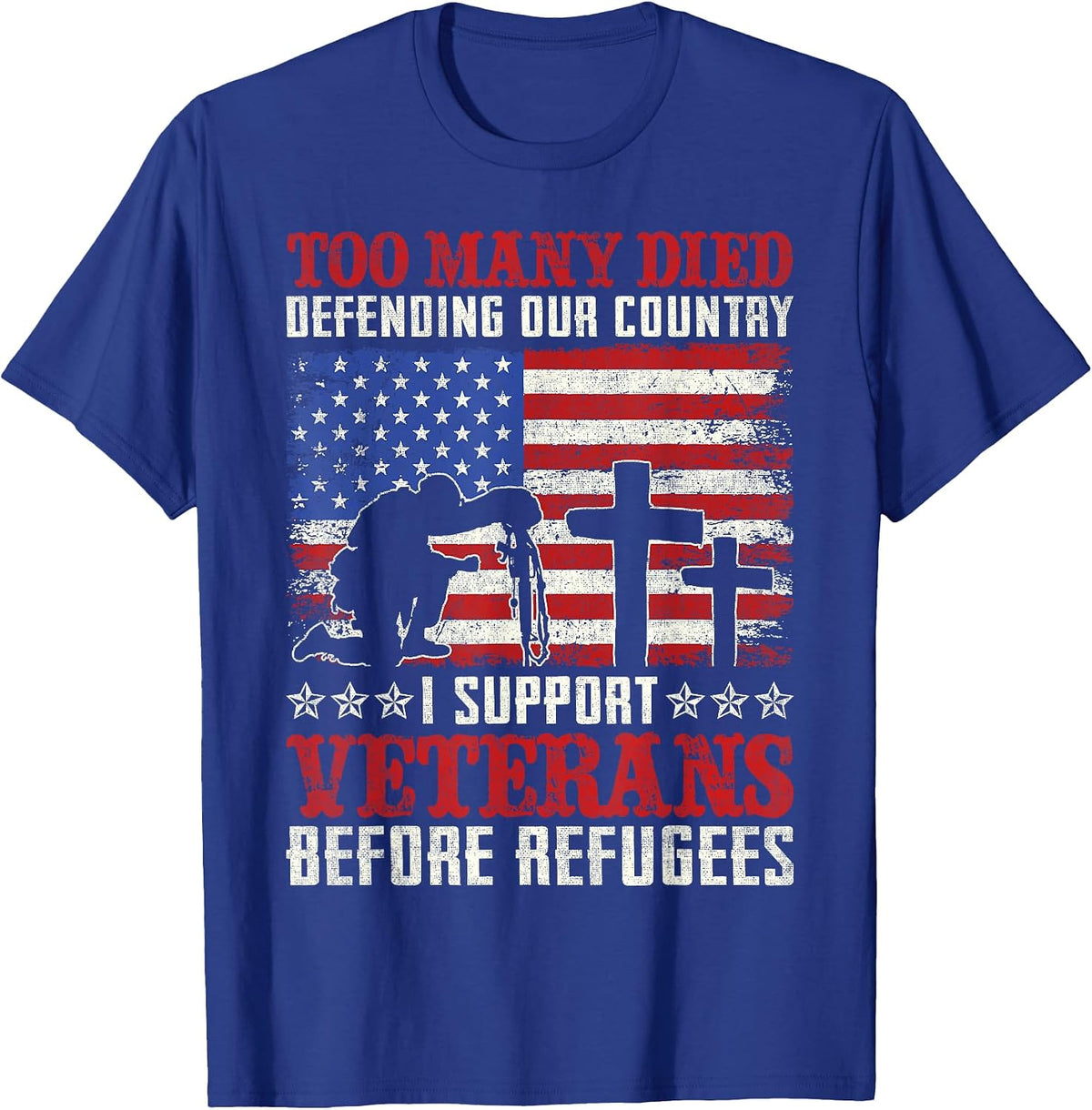 Too Many Died Defending Our Country I Support Veterans T-Shirt