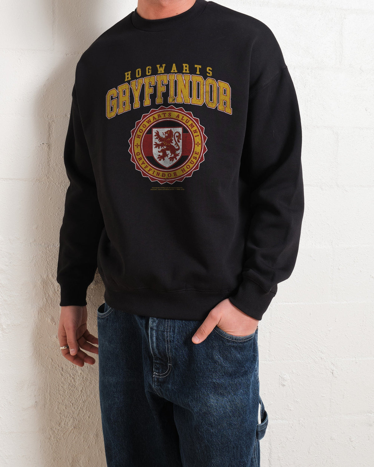 Gryffindor College Unisex