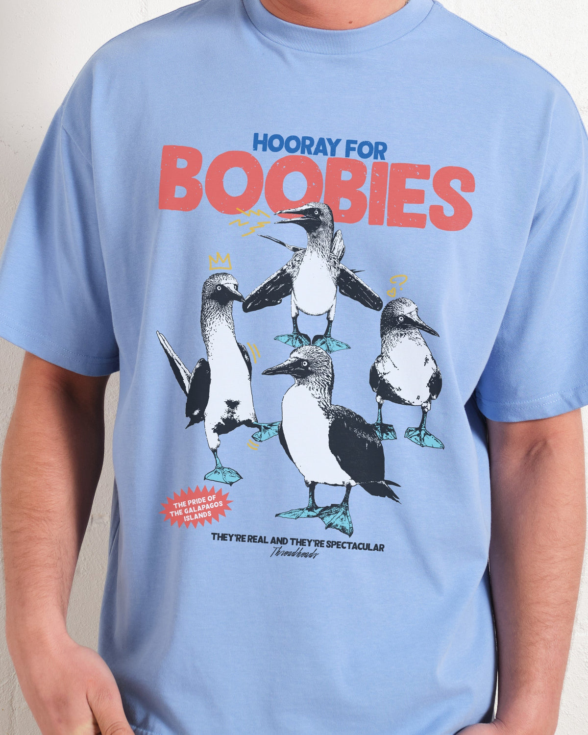 Hooray for Boobies Oversized Tee Unisex