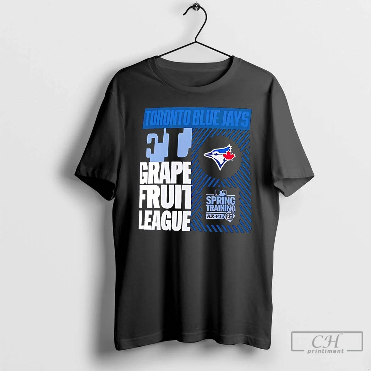 Classic Toronto Blue Jays 2026 Spring Training True Icon Unisex