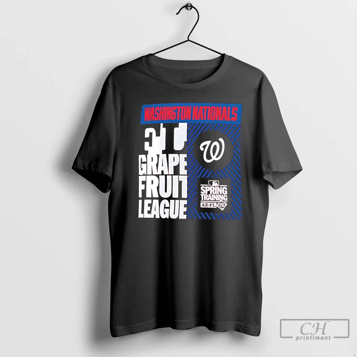 Classic Washington Nationals 2026 Spring Training True Icon Unisex