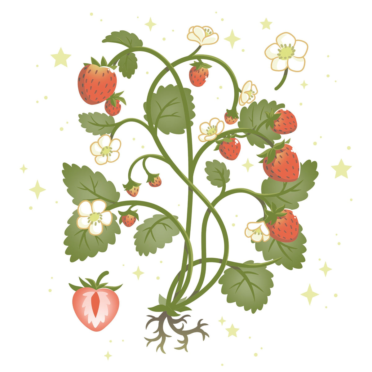 Strawberry Harvest Unisex