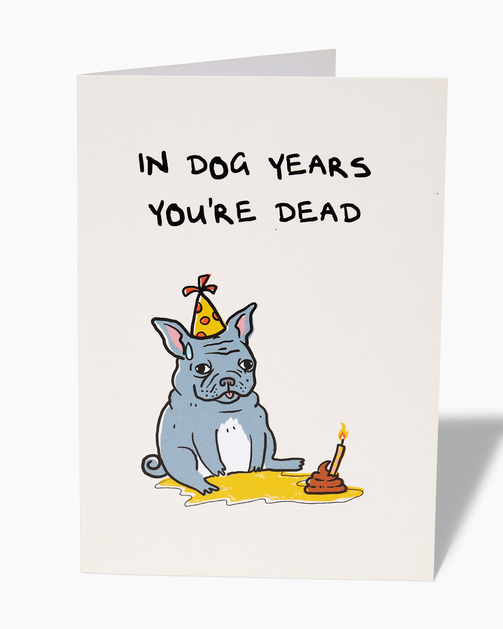 Animal Birthday Greeting Card Bundle Unisex