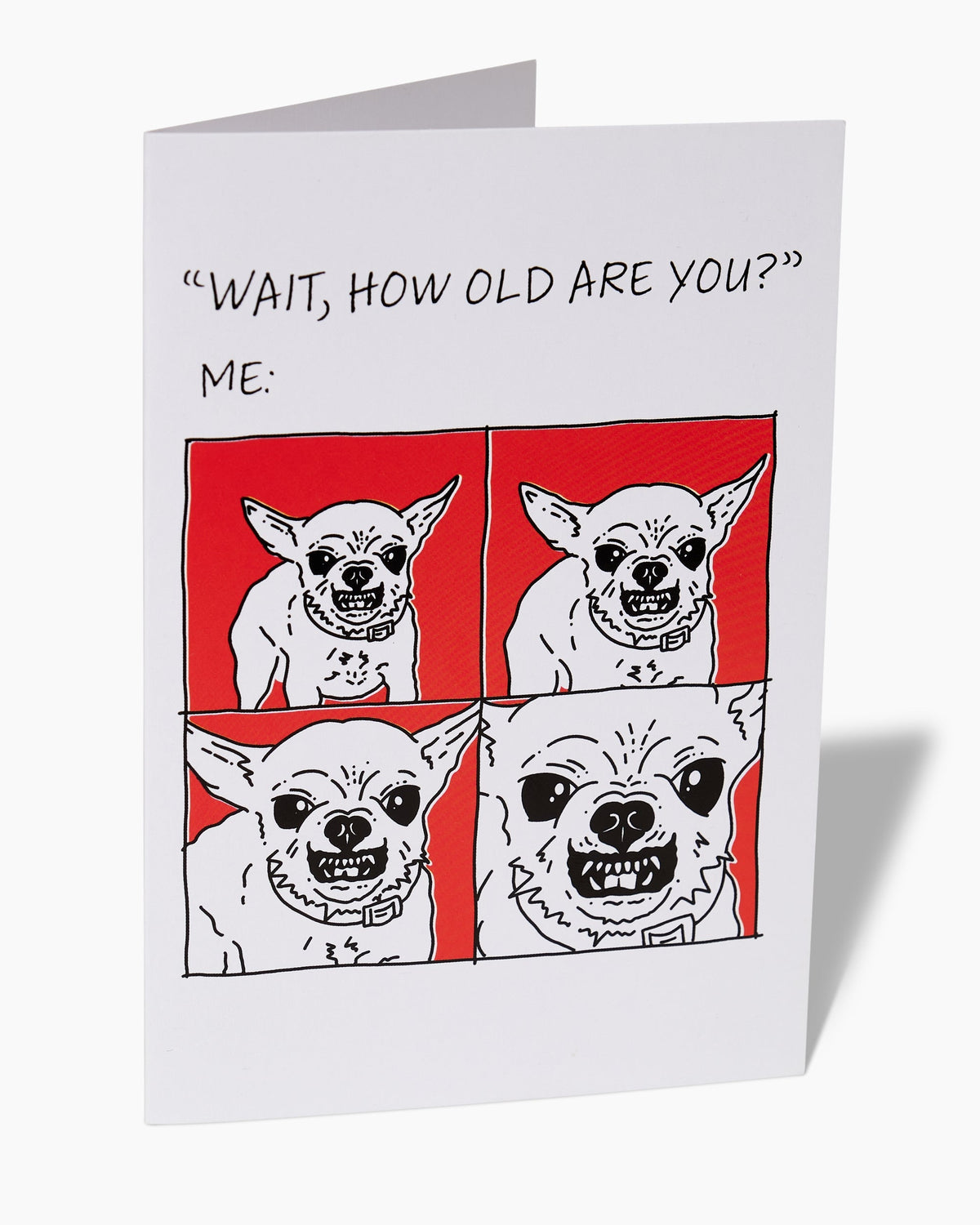 Animal Birthday Greeting Card Bundle Unisex