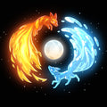 Fire and Water Kitsune Unisex