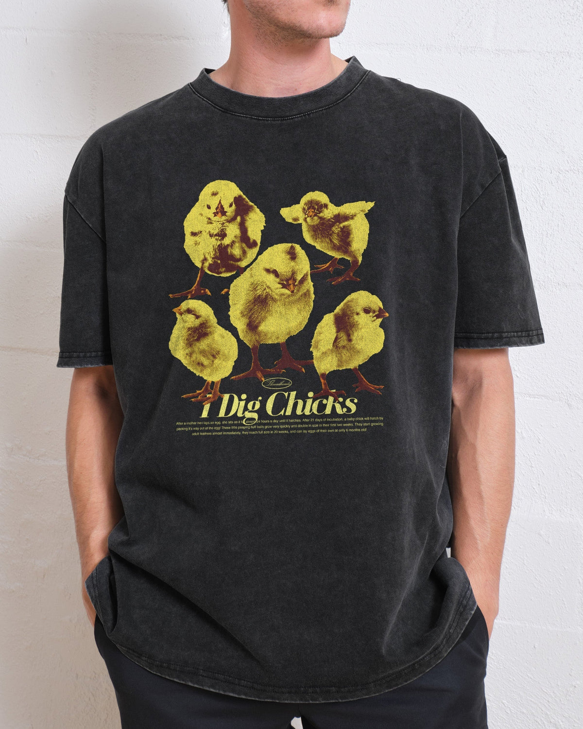 I Dig Chicks Oversized Tee Unisex