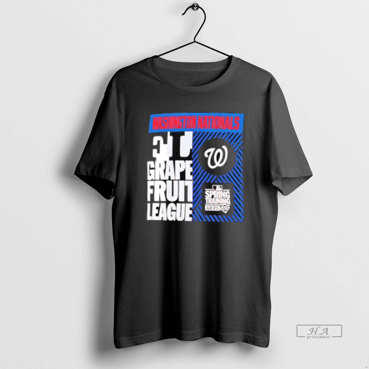 Official Washington Nationals 2026 Spring Training True Icon Unisex