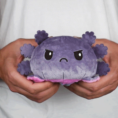 TeeTurtle Reversible Axolotl Plushie (Gray + Rainbow) Unisex