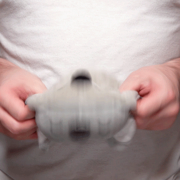 TeeTurtle Reversible Koala Plushie Unisex