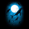 Moonlight Swim Unisex