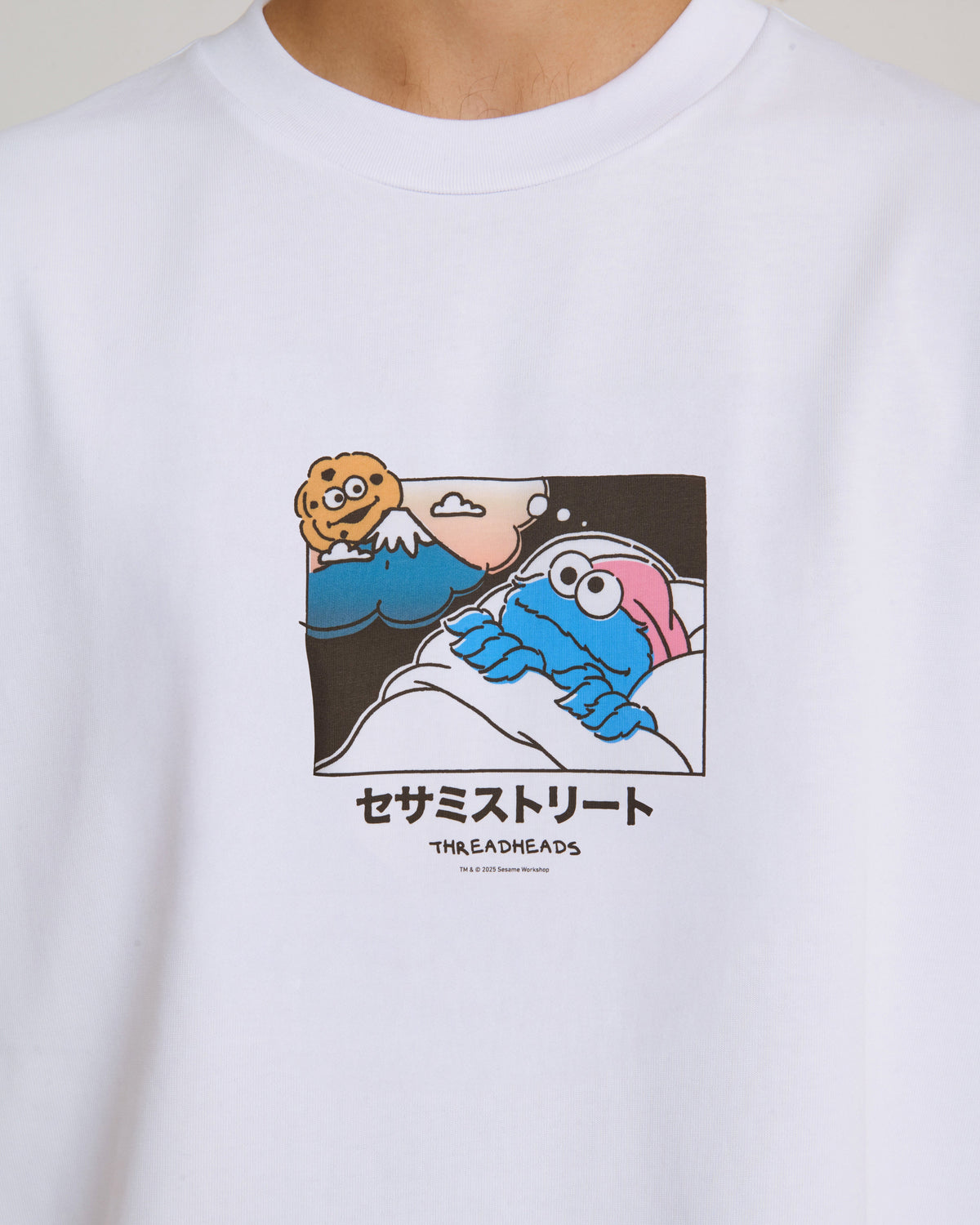 Cookie Monster Fuji Dreaming Oversized Tee Unisex