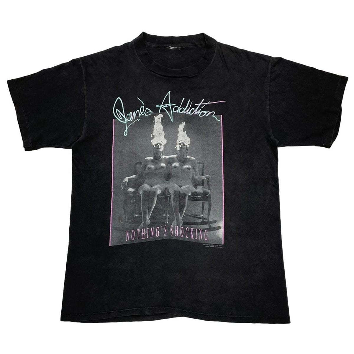 JANE'S ADDICTION 1988 NOTHING'S SHOCKING FITS LARGE 0026