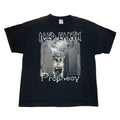 ICED EARTH PROHECY DELTA XL 0010