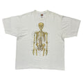 Anatomical Chart Co. FRUIT OF THE LOOM LARGE