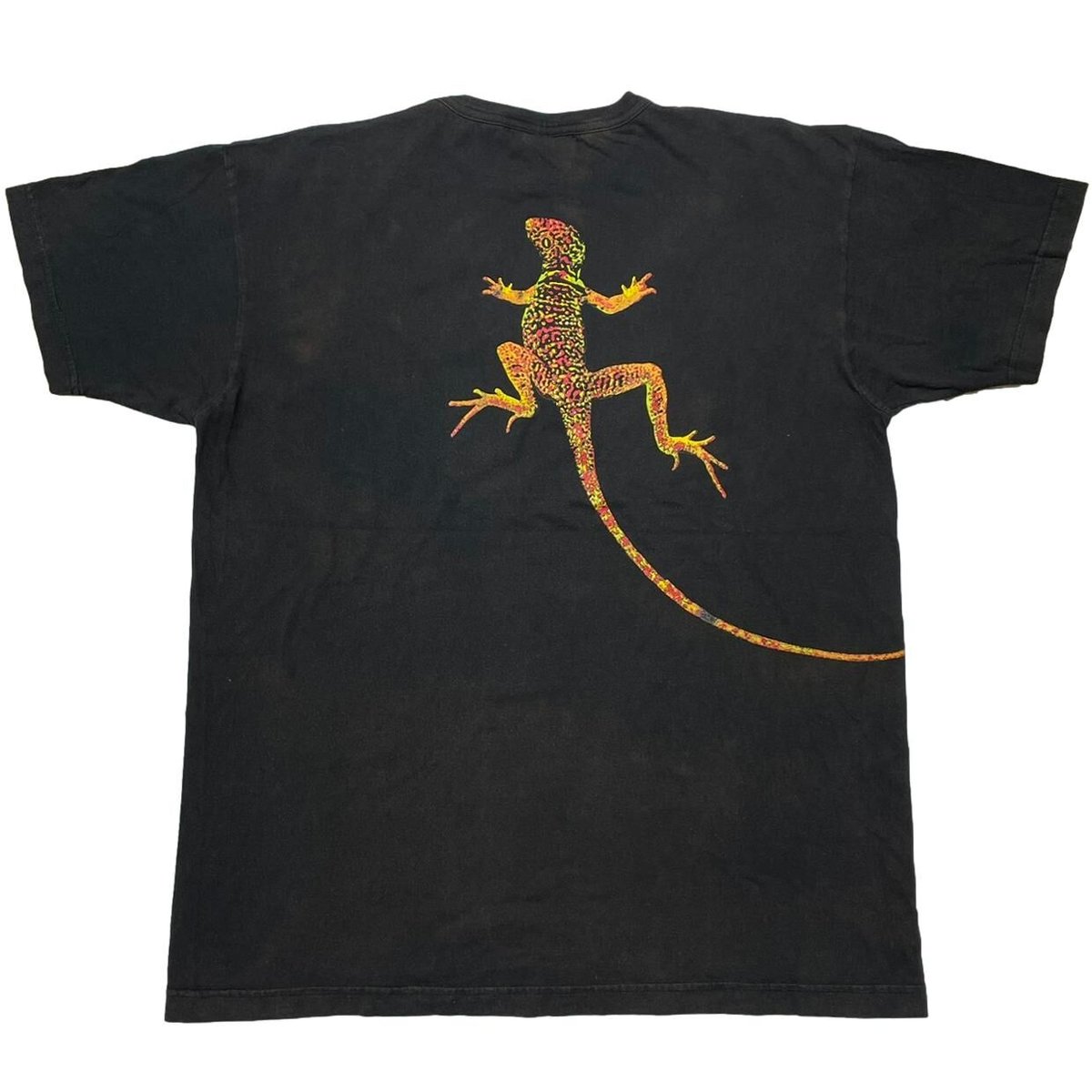 MARLBORO LIZARD XL 6067