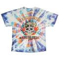 LYNYRD SKYNYRD RAISING HELL AGAIN TIE DYE FITS LARGE 2415