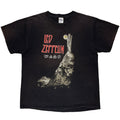 LED ZEPPELIN 00s HERMIT DELTA LARGE 7524