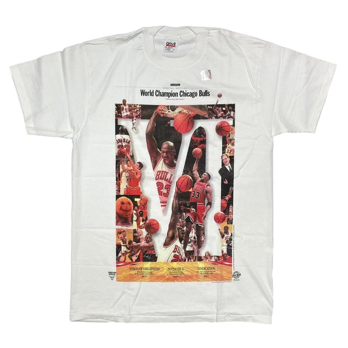 CHICAGO BULLS 1998 WORLD CHAMPION DEAD STOCK WHITE ANVIL LARGE 8386
