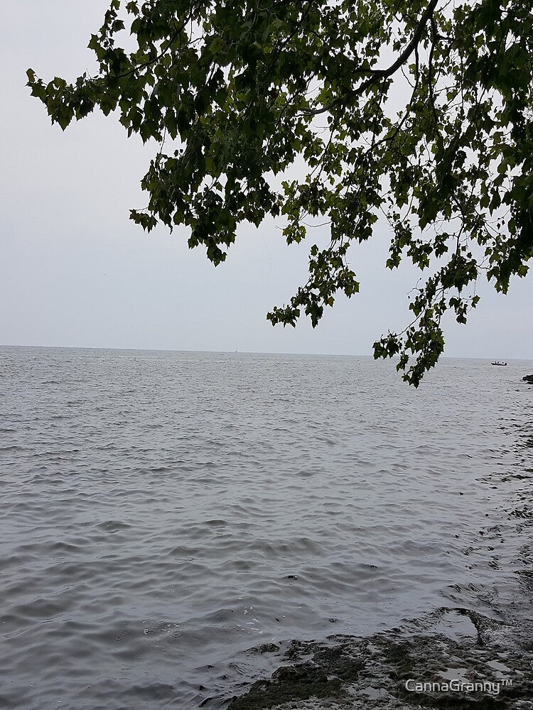 Lake Erie love by  CannaGranny™