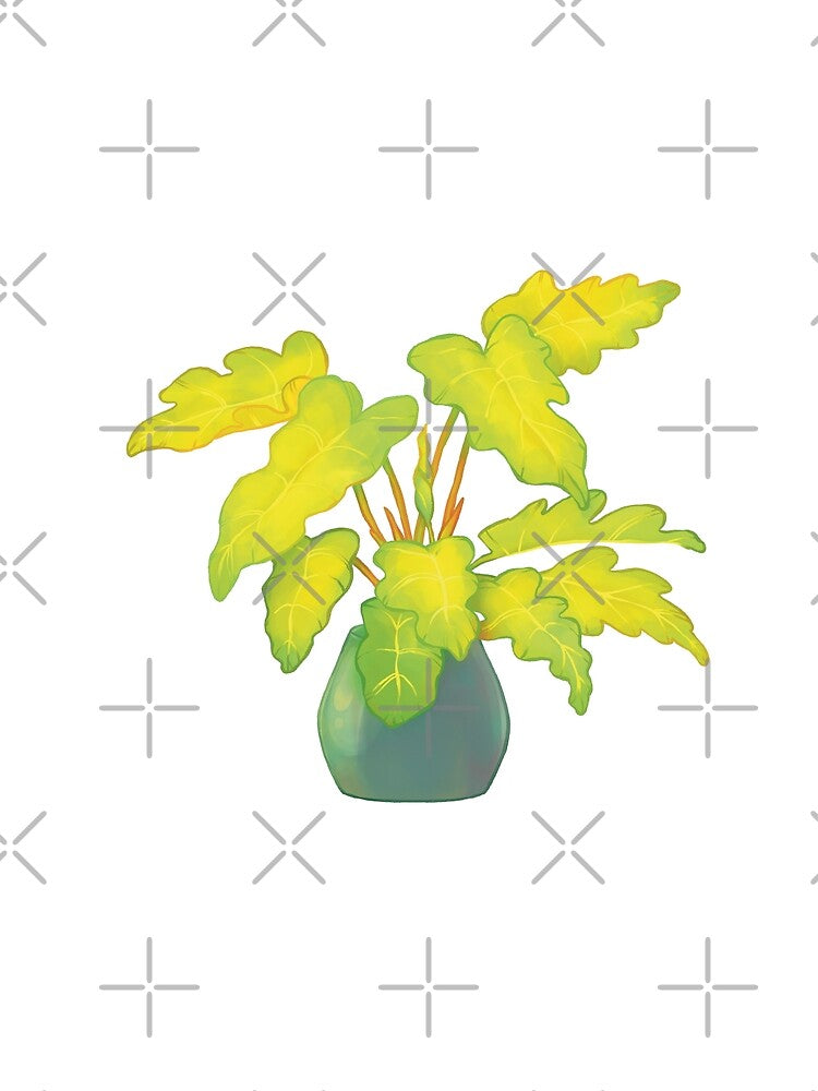 Philodendron Xanadu Gold by Plantphibian
