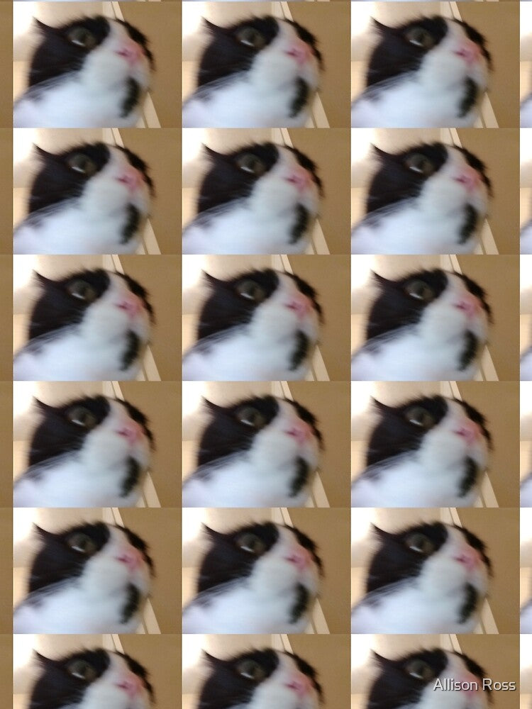 Zoom Cat by Allison Ross