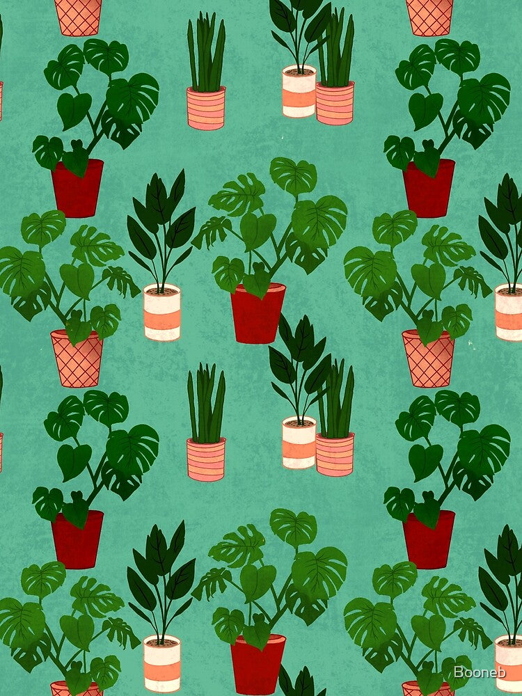 House Plants in Green by Booneb