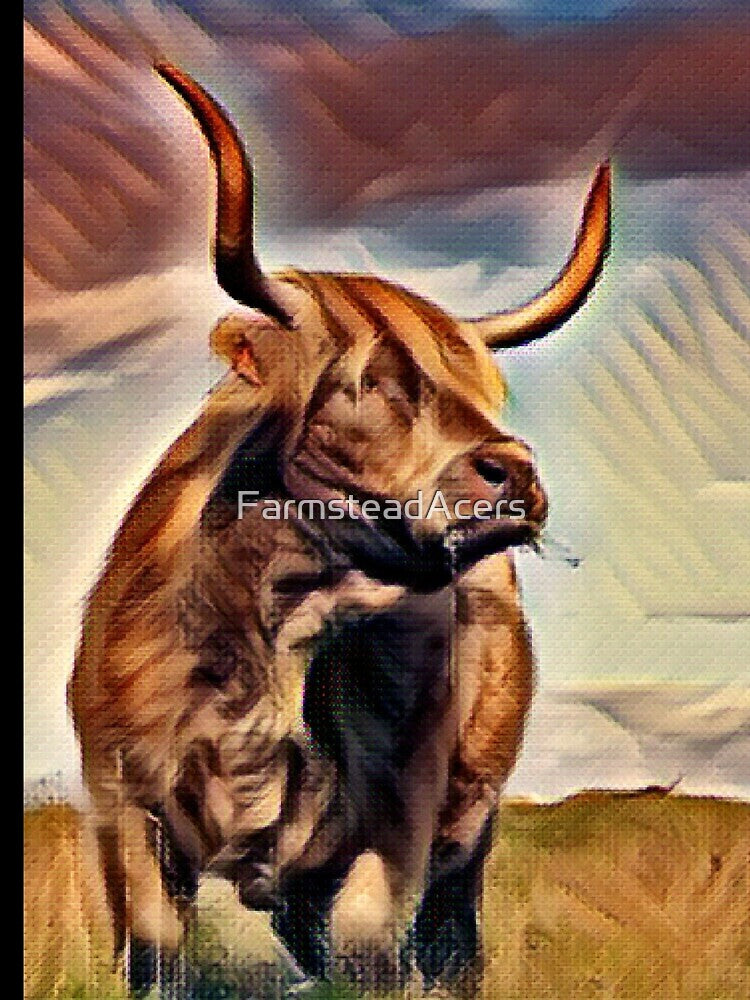 Burly Highland Cow scouts out the pasture by FarmsteadAcers