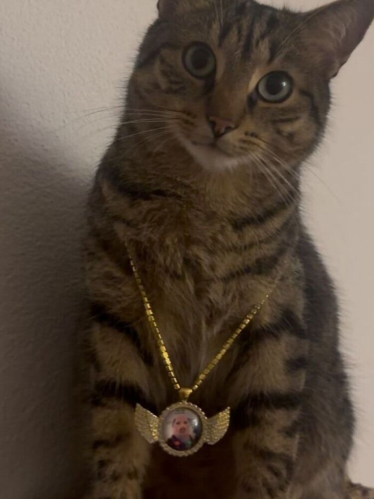 swag cat wears john pork gold necklace by proteinpanda