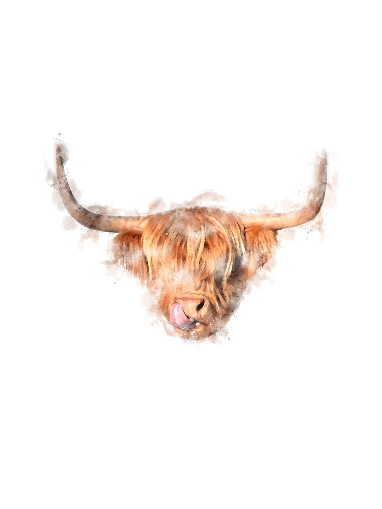 Highland Cow Watercolour Artwork by Typeglyphs