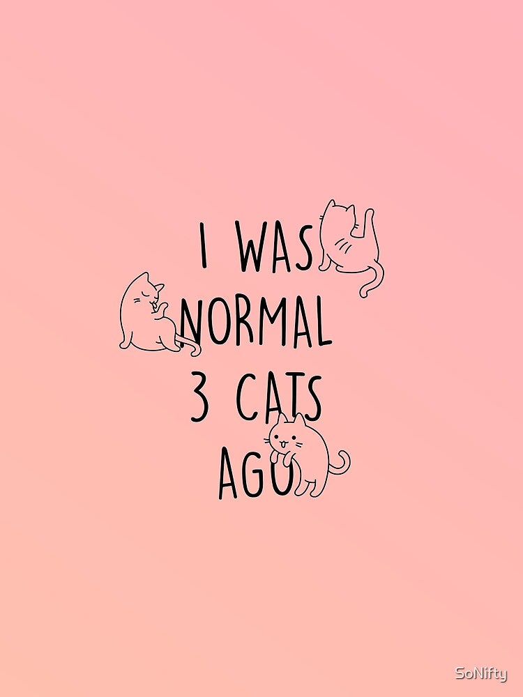 I Was Normal 3 Cats Ago | Crazy Cat Lady by SoNifty