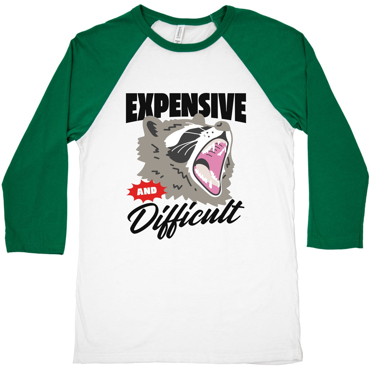 Expensive and Difficult Raccoon Baseball Tee Unisex