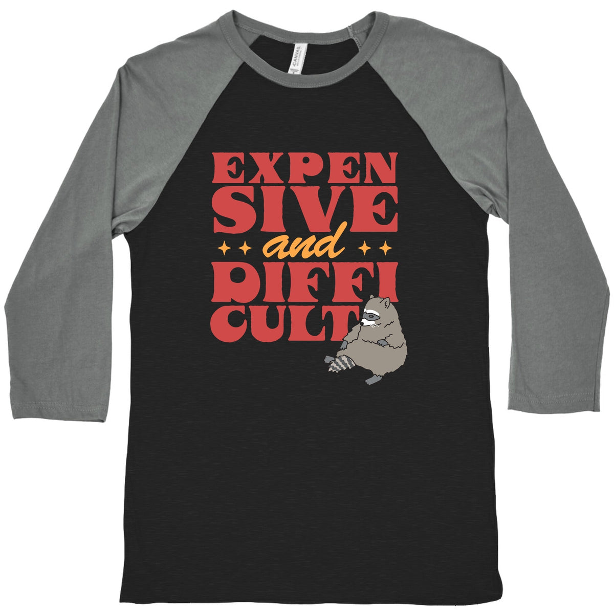 Raccoon Expensive and Difficult Baseball Tee Unisex