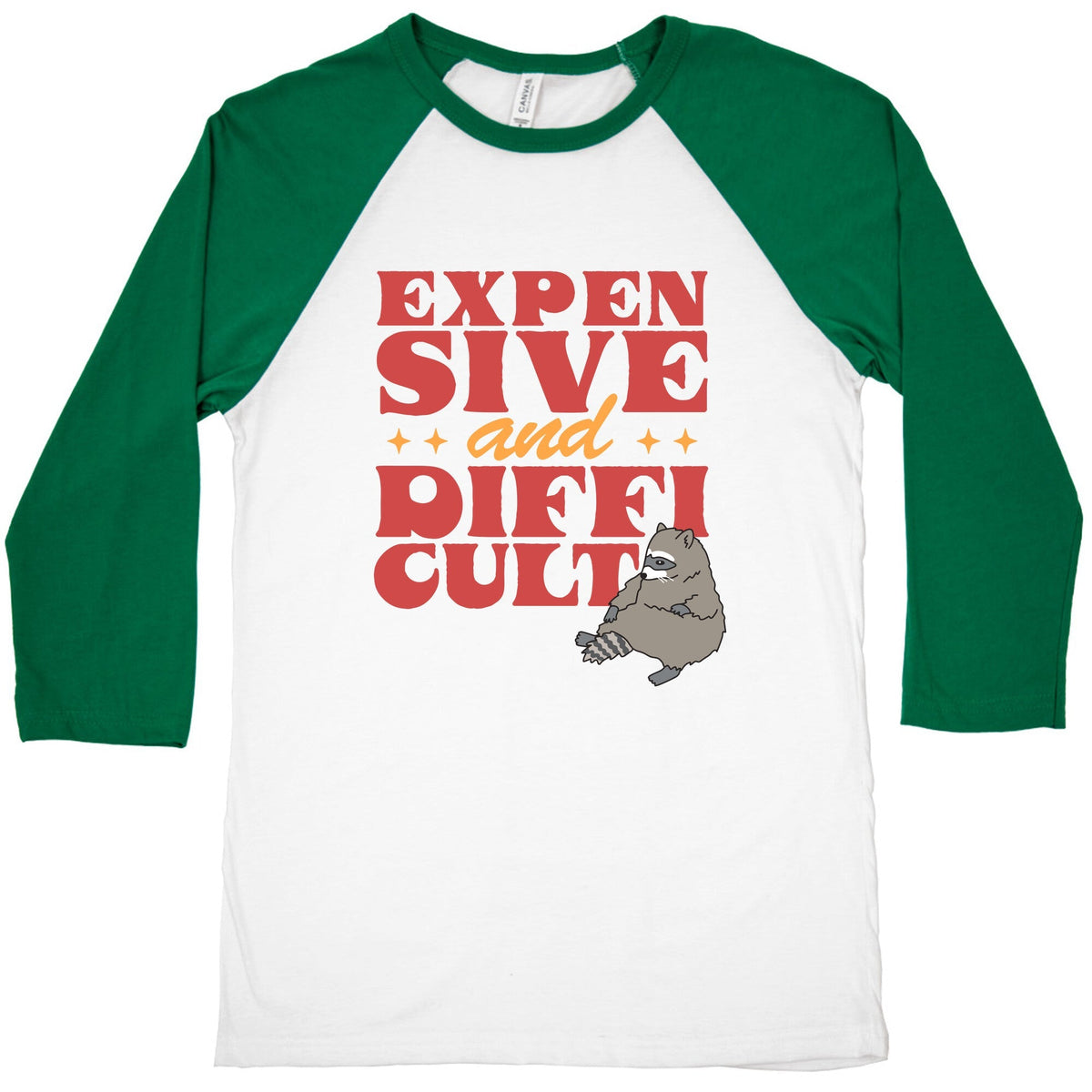 Raccoon Expensive and Difficult Baseball Tee Unisex