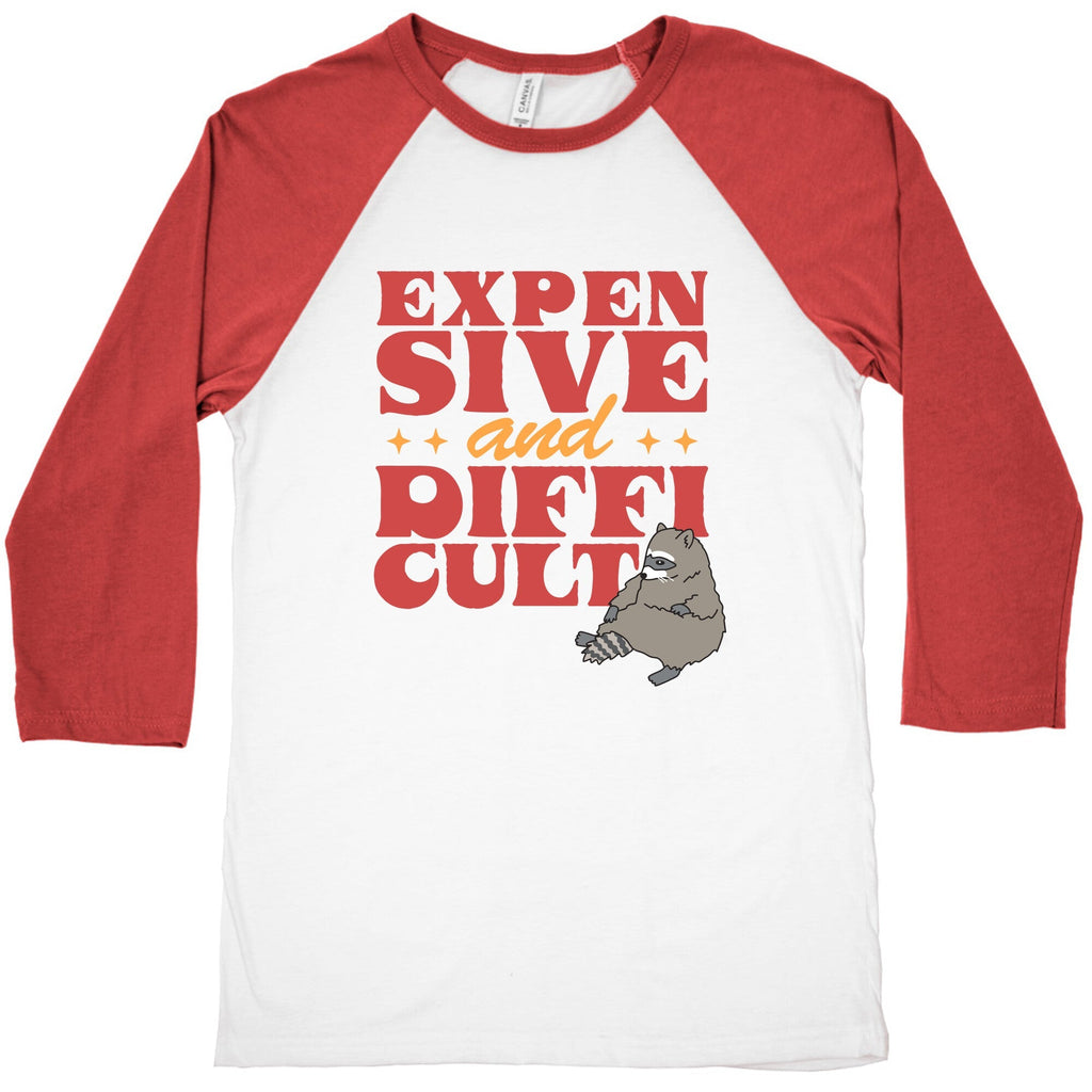 Raccoon Expensive and Difficult Baseball Tee Unisex
