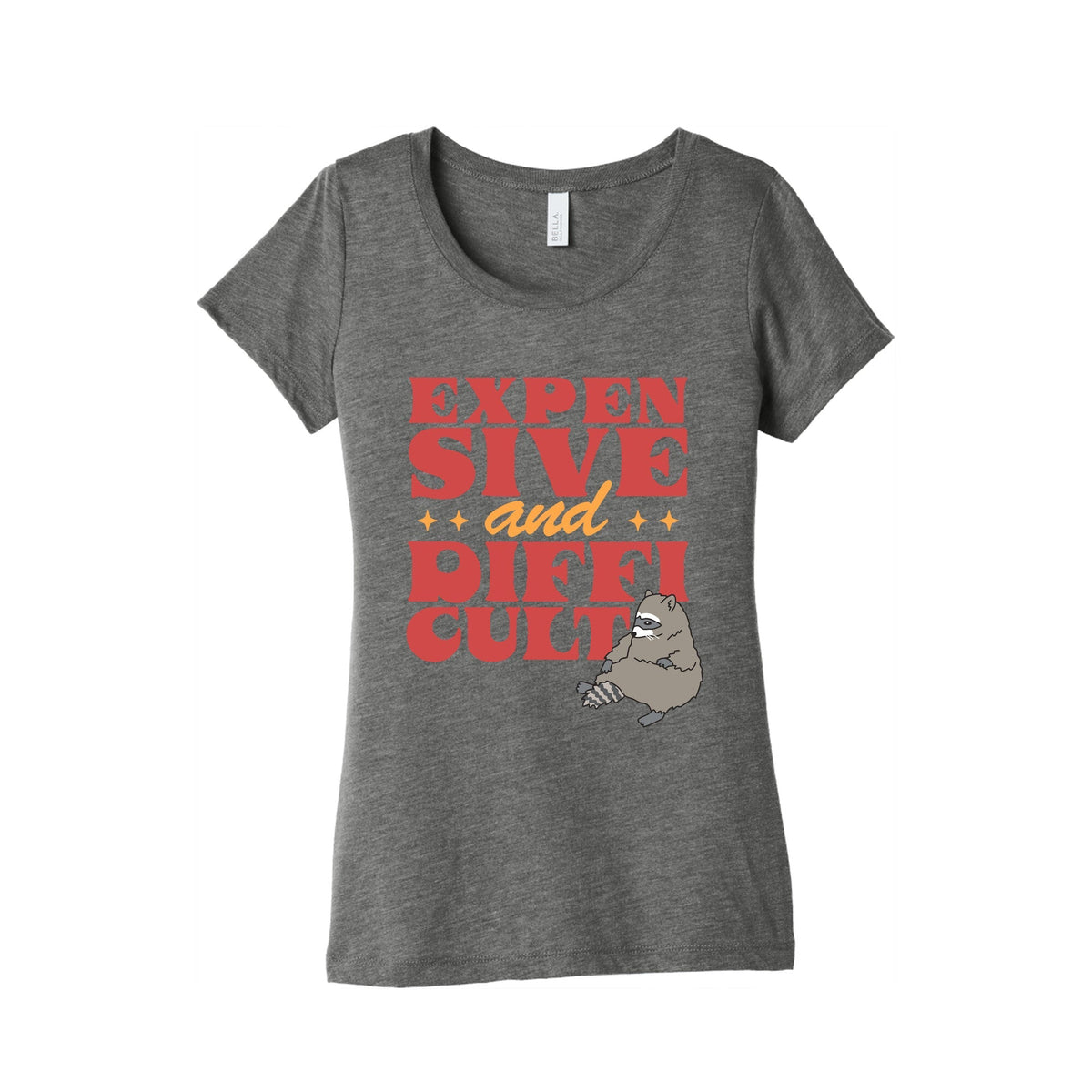Raccoon Expensive and Difficult Womens Triblend Tee Unisex