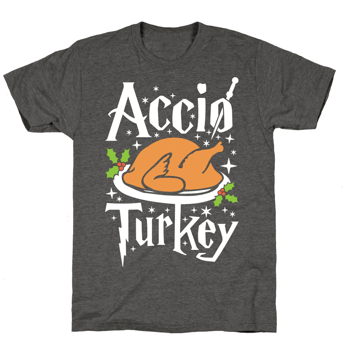 Accio Turkey Unisex Triblend Tee Unisex
