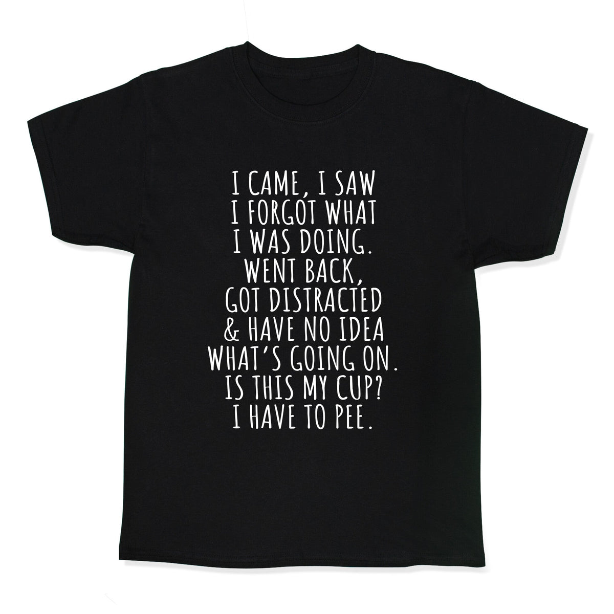 I Came I Saw I Forgot What I Was Doing Kids Tee Unisex
