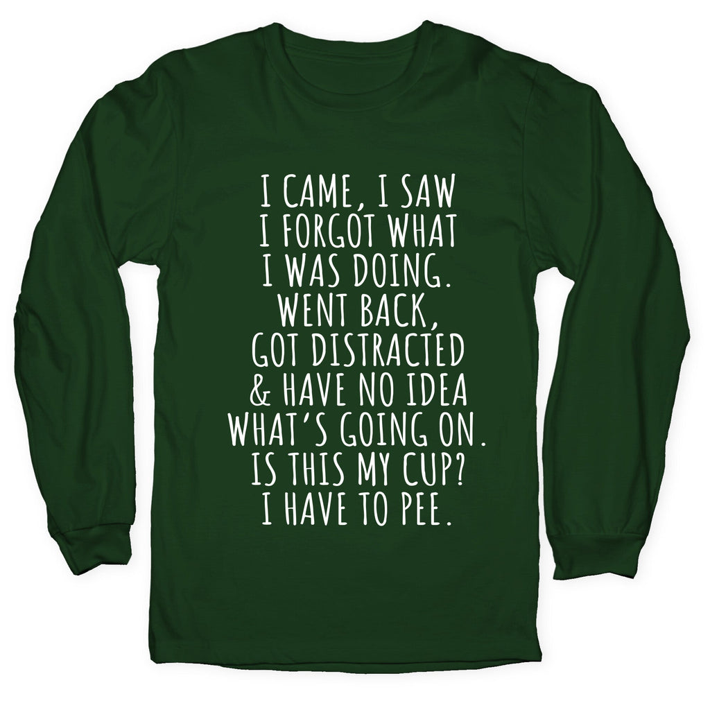 I Came I Saw I Forgot What I Was Doing Longsleeve Tee Unisex