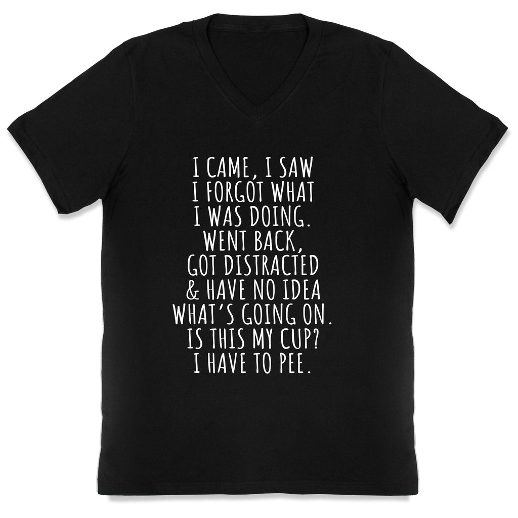 I Came I Saw I Forgot What I Was Doing V-Neck Unisex