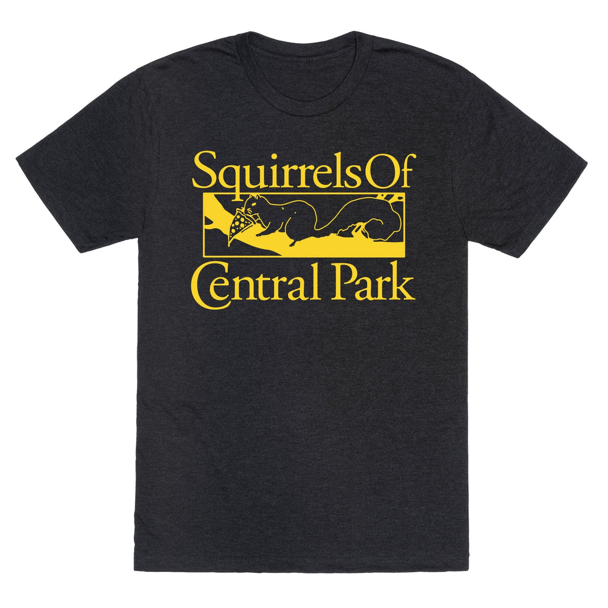 Squirrels of Central Park Unisex Triblend Tee Unisex