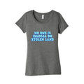 No One Is Illegal Womens Triblend Tee Unisex