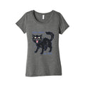 Equal Rights or I Bite Womens Triblend Tee Unisex