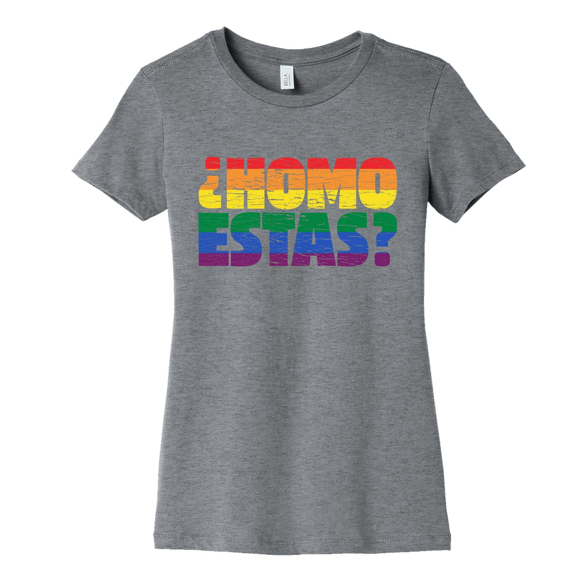 Homo Estas Womens Cotton Tee Unisex