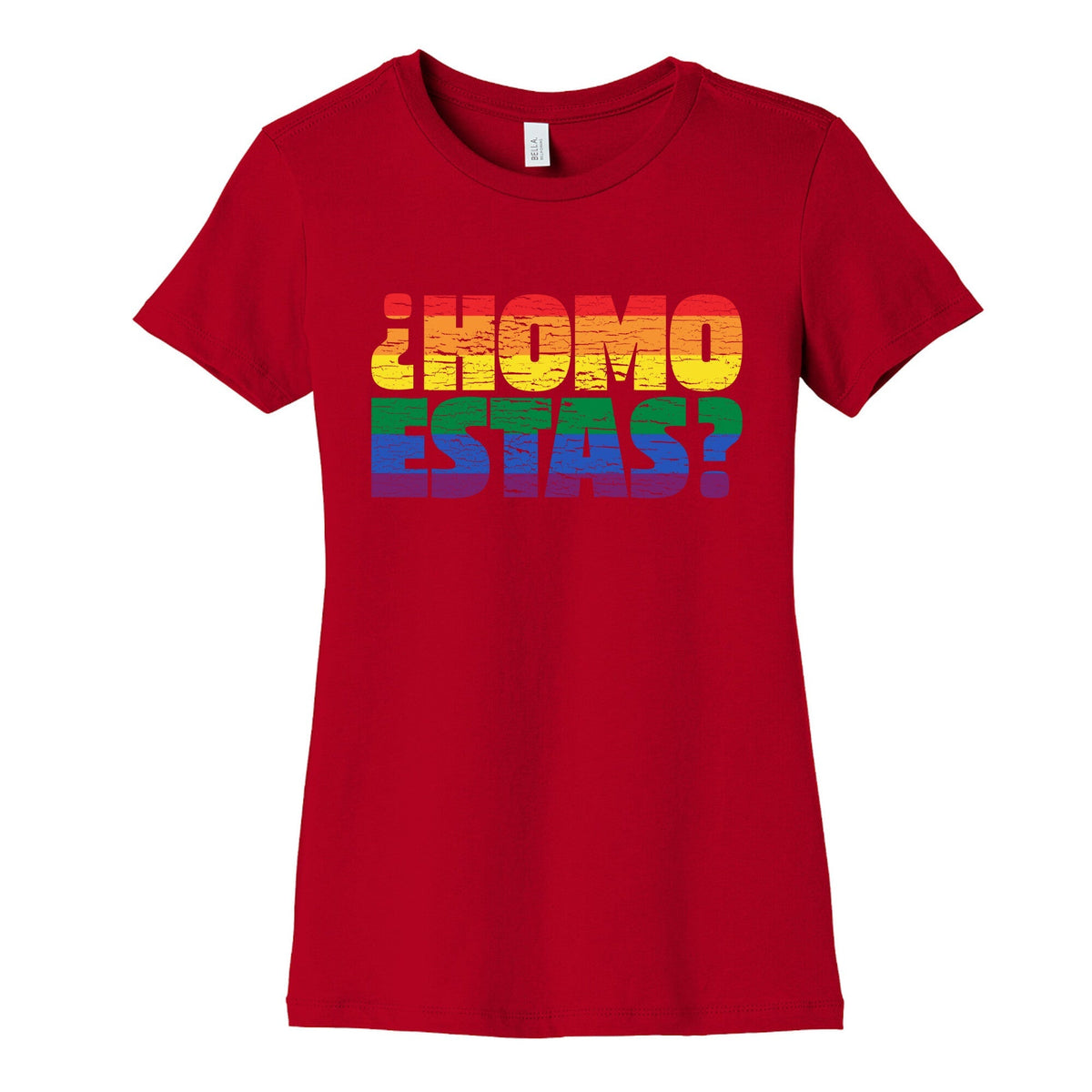Homo Estas Womens Cotton Tee Unisex
