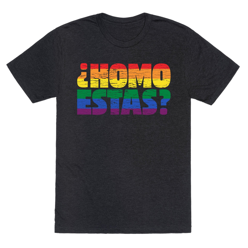 Homo Estas Unisex Triblend Tee Unisex