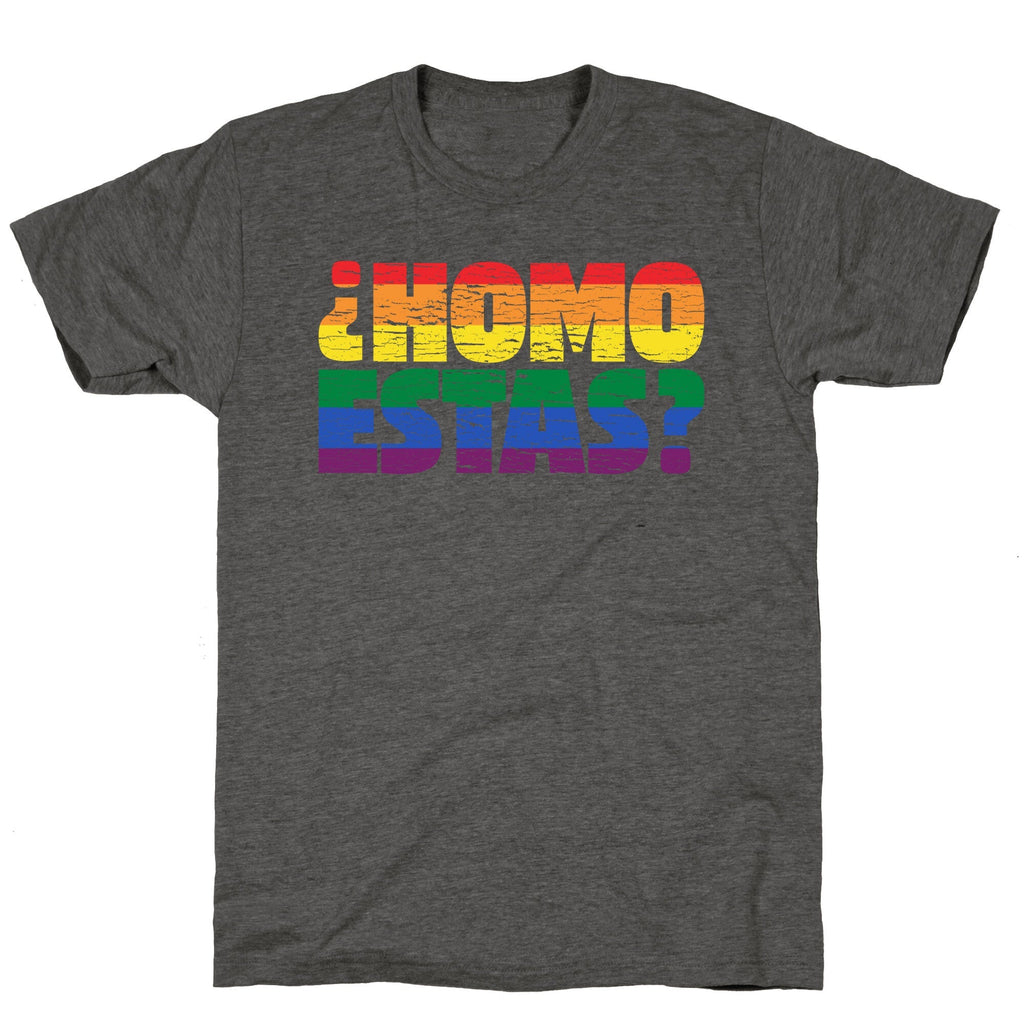 Homo Estas Unisex Triblend Tee Unisex