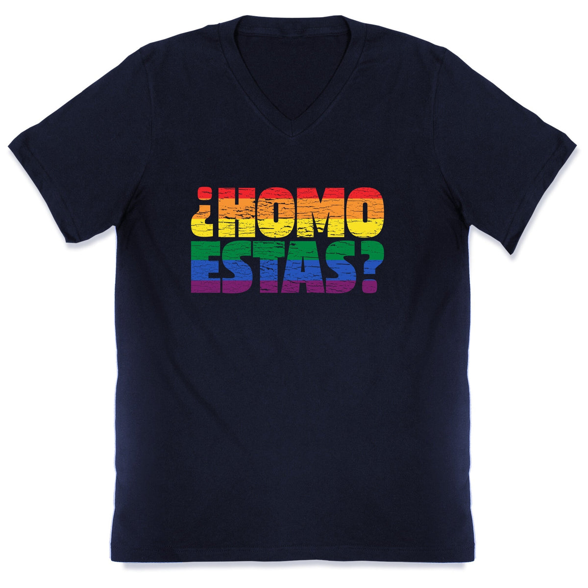 Homo Estas V-Neck Unisex
