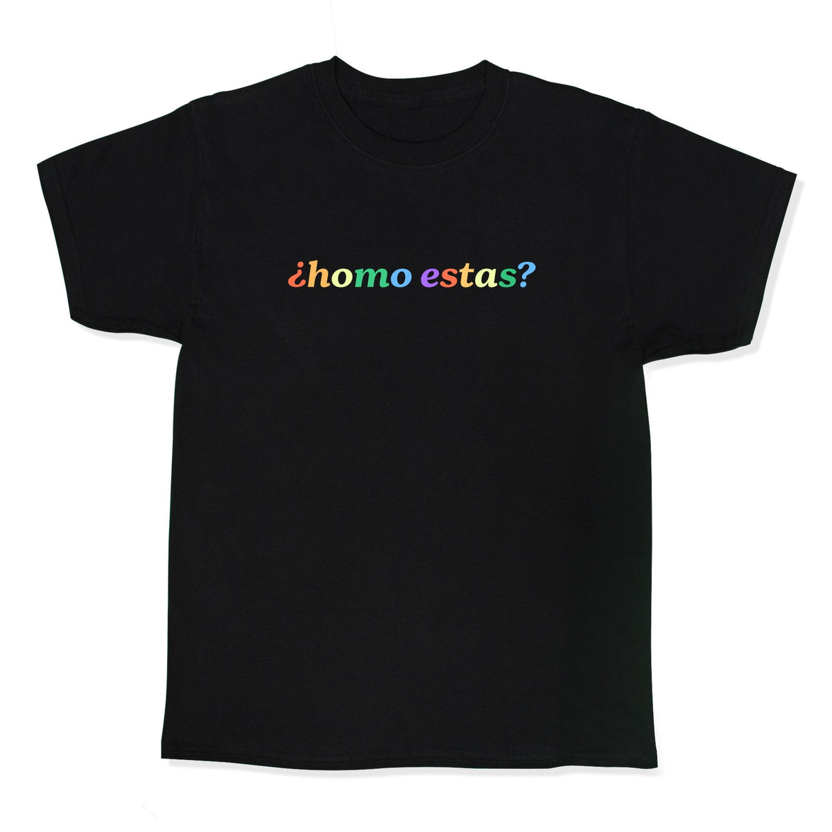Homo Estas Rainbow Kids Tee Unisex