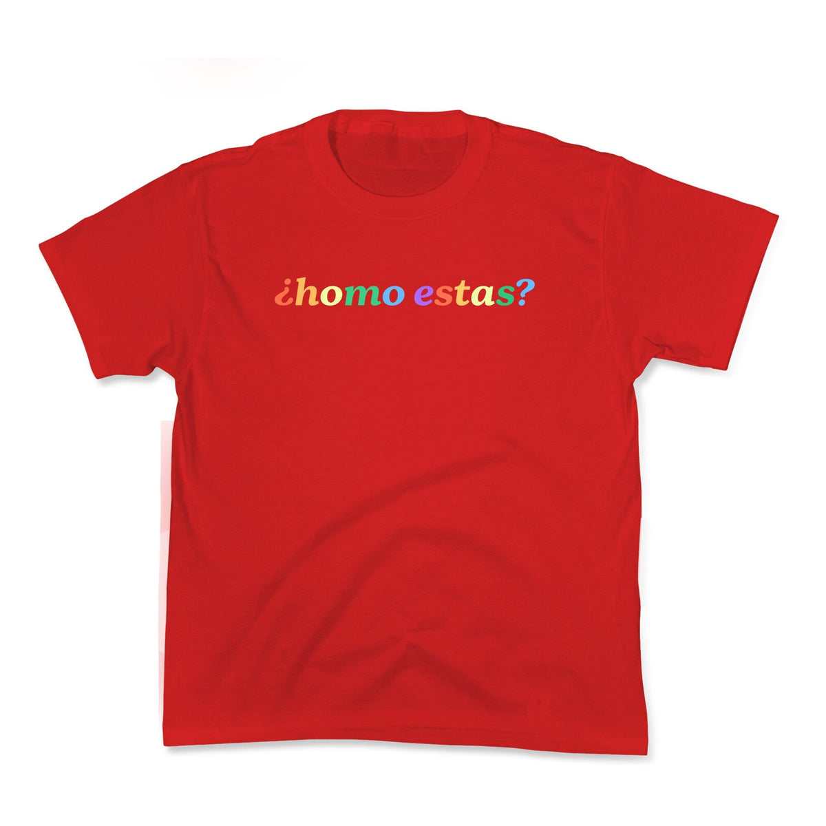 Homo Estas Rainbow Kids Tee Unisex